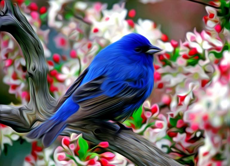 Beautiful blue bird